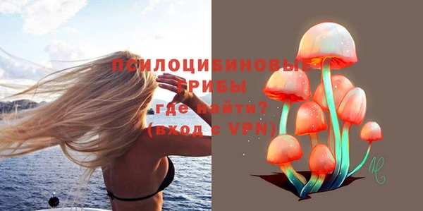сатива Нефтегорск