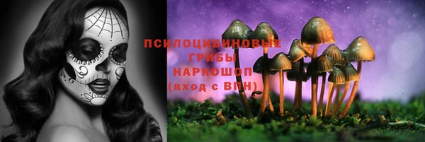 винт Нея